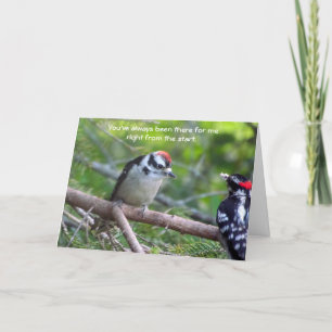 Carte Downy Woodpecker pour un parent ou un tuteur