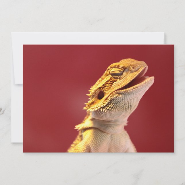 Carte Dragon à coeur de rire (Devant)