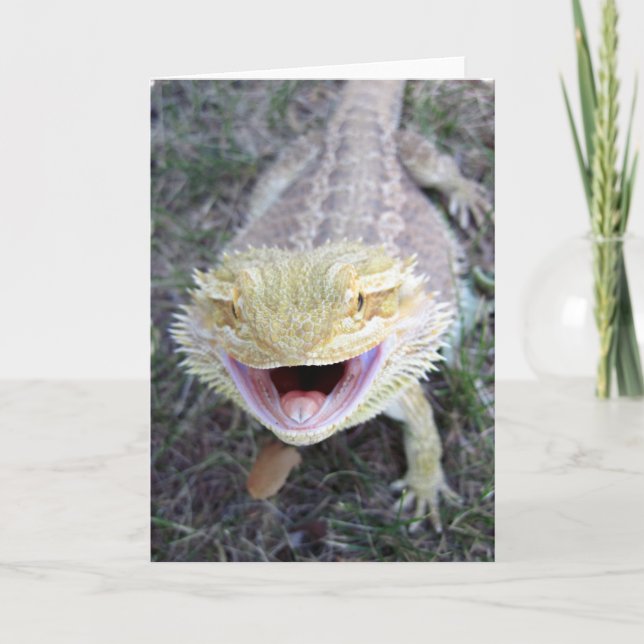 Carte Dragon barbu heureux superbe (Devant)