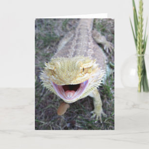 Carte Dragon barbu heureux superbe