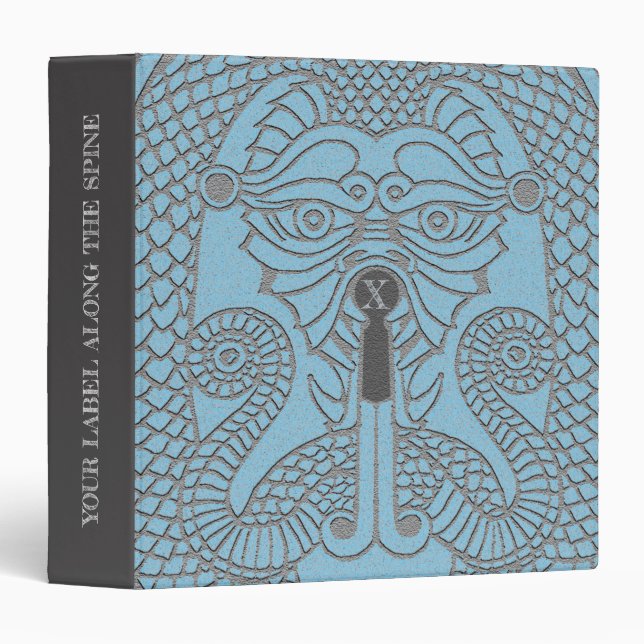 Carte Dragon face Classeur aqua/gris (Devant/Côté)