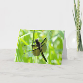 Carte Dragonfly in the Garden