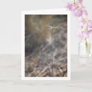 Carte Dragonfly sur Stalk Portrait
