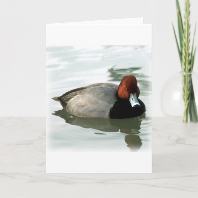 Carte Drake roux (sans titre) (Devant)