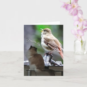 Carte Dream Big Ragdoll Chat Bird Note