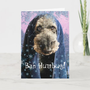 Carte Dream Christmas Bah Humbug Schnauzer