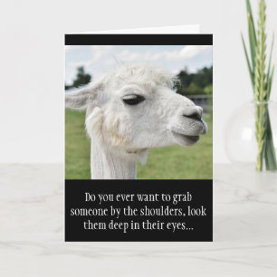 Carte Drôle Alpaca Llama Photo avec des plaisanteries
