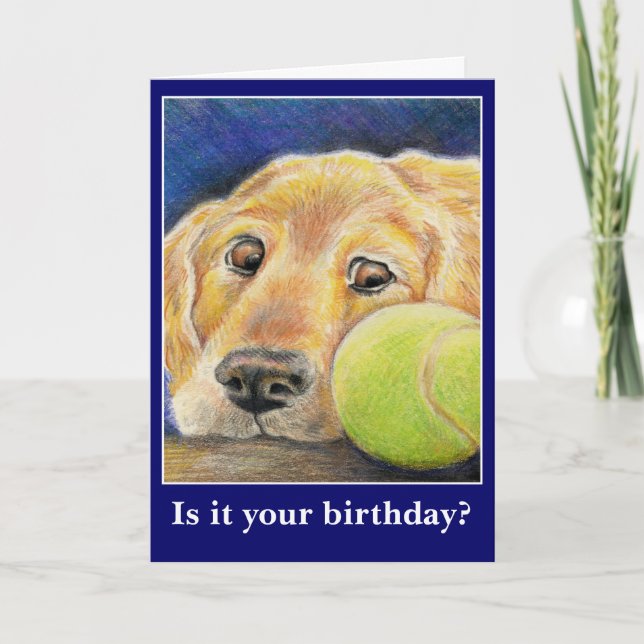 Carte Drôle anniversaire de chien ou autre occasion (Devant)