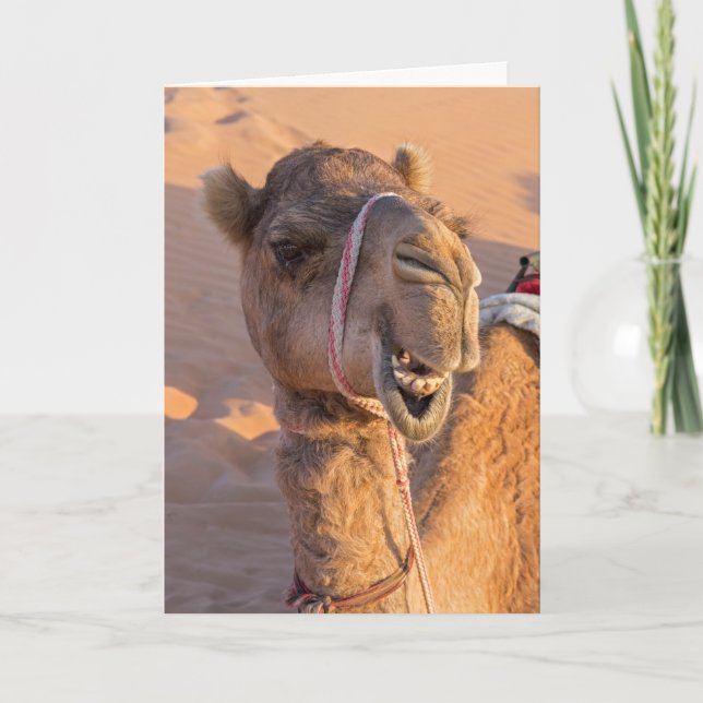 Carte Drôle Camel (Devant)