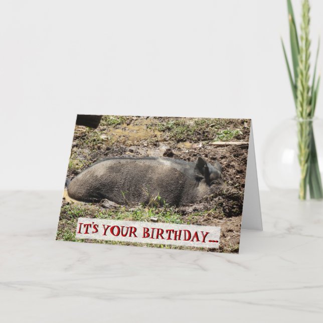 Carte Drôle C'est ton anniversaire Go Hog Wild (Devant)