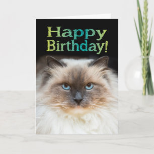 Carte Drôle chat Fiesty Joyeux anniversaire Vous êtes da