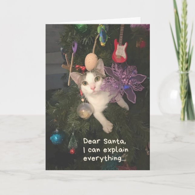 Carte Drôle Chat Père Noël Je Peux Expliquer Tout Noël (Devant)