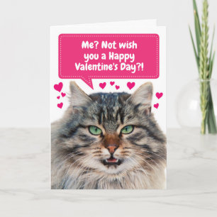 Carte Drôle chat vous souhaite un Heureuse Sainte-Valent
