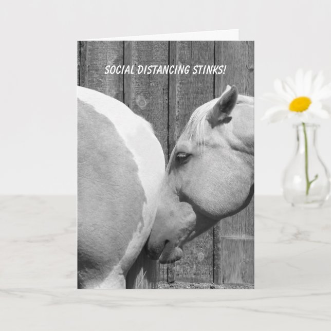 Carte Drôle Cheval pue Social Distancing You Missing (Petite plante)