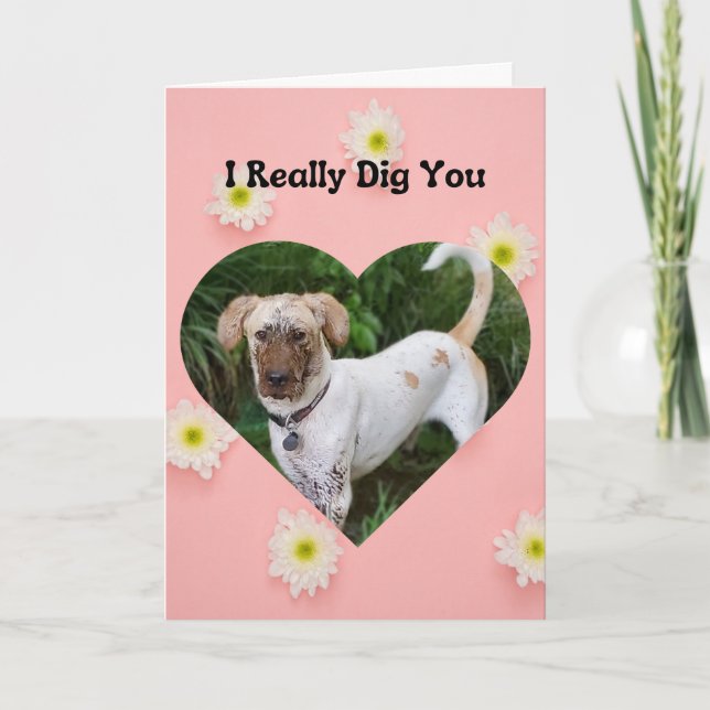 Carte Drôle Chien Boueux Je T'Ai Vraiment Creusé Valenti (Devant)
