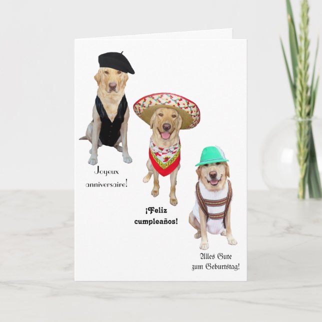 Carte Drôle Chien Joyeux Anniversaire en quatre langues (Devant)