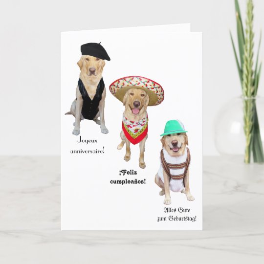 Carte Drole Chien Joyeux Anniversaire En Quatre Langues Zazzle Ca