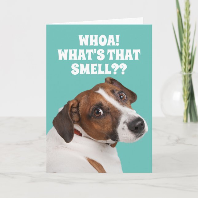 Carte Drôle Chien odorant pour l'Anniversaire du Vieux P (Devant)