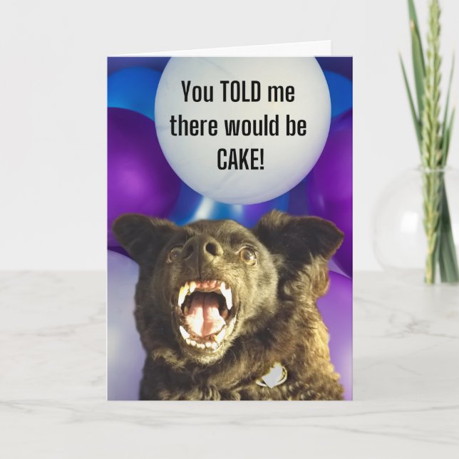 Carte Drôle Chien Vous M'Avez Dit Qu'Il Y Aurait Du Gâte (Devant)
