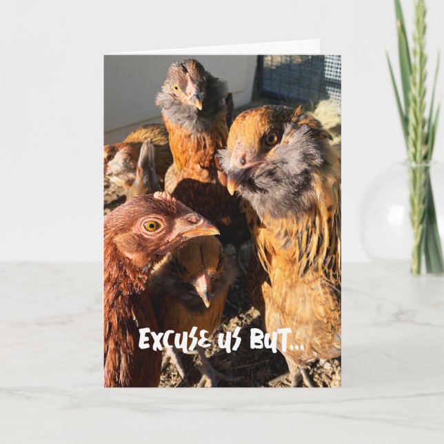 Carte Drôle Curieux Ambre Brown Poulets photo de gros pl (Devant)