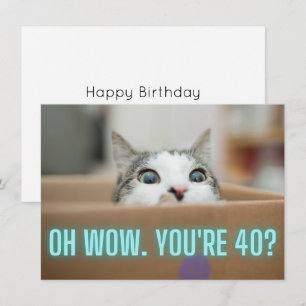 Carte Drôle Curious Chat 40e Anniversaire Appartement