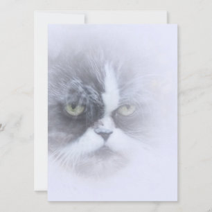 Carte drôle de chat perse avec de grands yeux