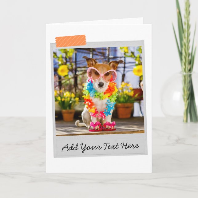 Carte drôle de Jack Russell (Devant)