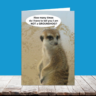 Carte drôle de jour de Meerkat Groundhog