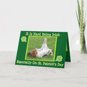 Carte drôle de la Saint-Patrick avec Basset et biè