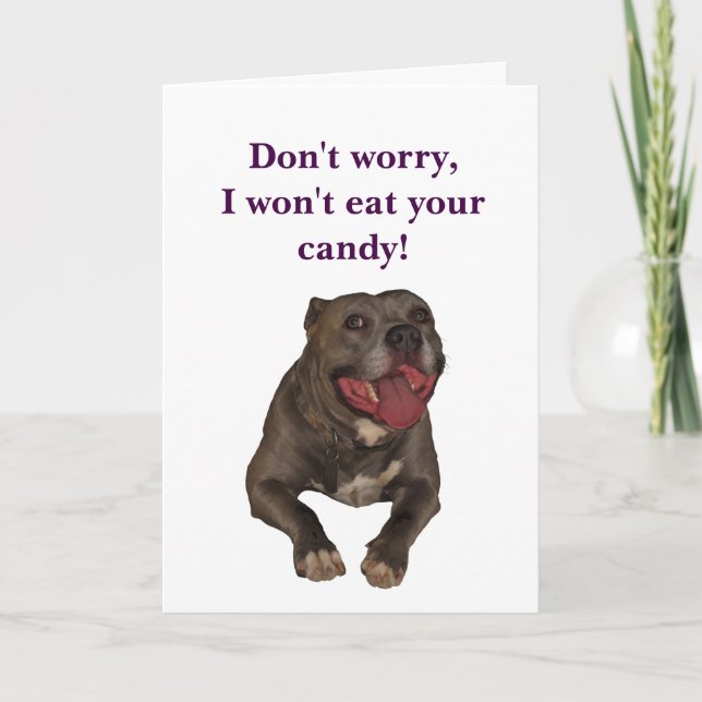 Carte drôle de Pitbull Pâques (Devant)