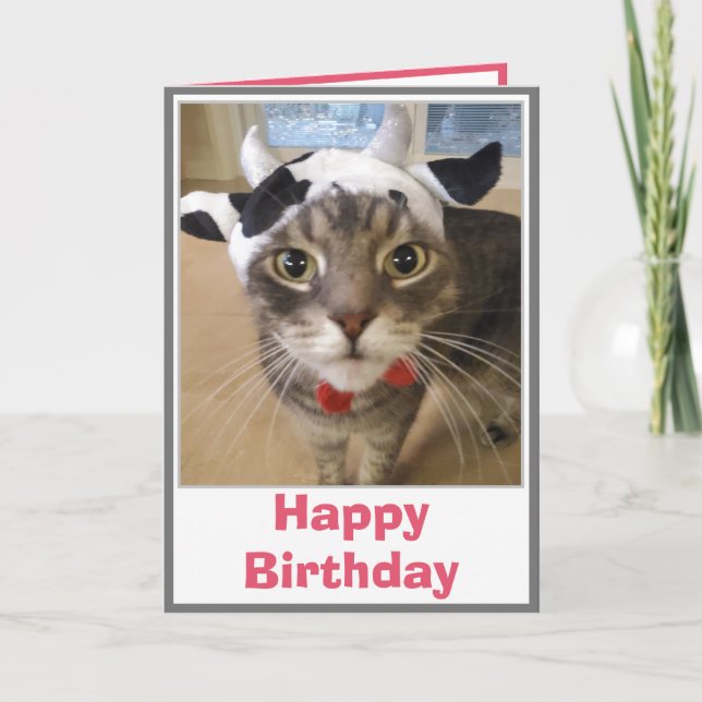 Carte drôle de vache et de chat pour anniversaire (Devant)