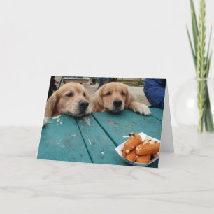 Carte Drôle Golden Retriever Chiens Voeux d'anniversaire