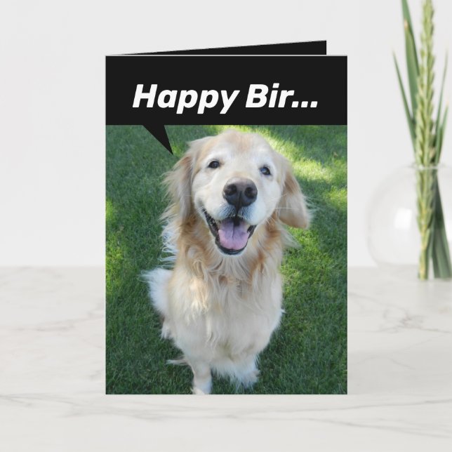 Carte Drôle Golden Retriever distrait par l'écureuil (Devant)
