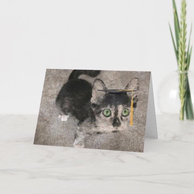 Carte Drôle Graduation, Large Eyed Kitten (Devant)
