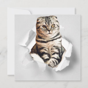 Carte Drôle Gray Cat Popping à travers l'illusion du pap