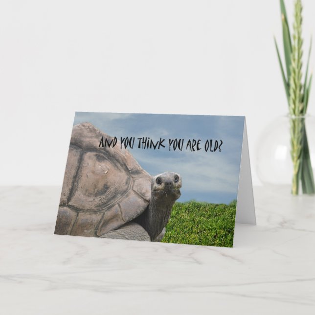 Carte Drôle Humour Giant Turtle Joyeux Anniversaire (Devant)