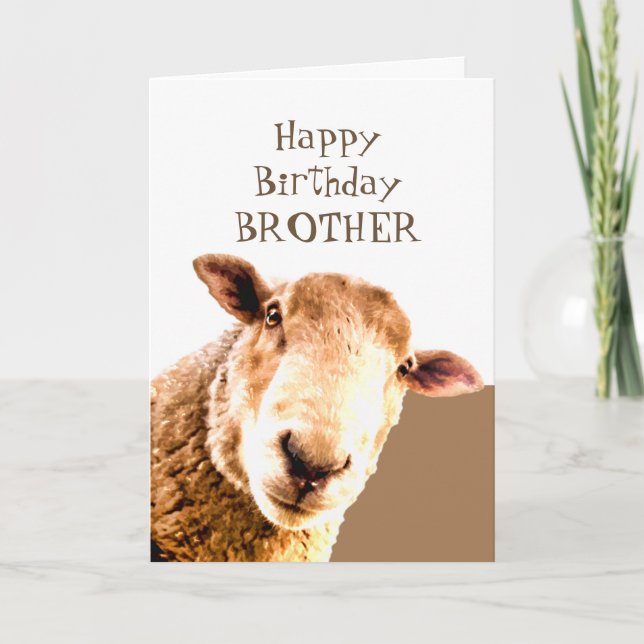Carte Drôle Joyeux Anniversaire Ewe sont LE MEILLEUR FRÈ (Devant)