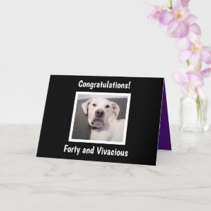 Carte Drôle mignon Grumpy Chien blanc 40e anniversaire N