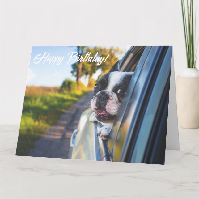 Carte Drôle mignon Happy French Bulldog Birthday Card (Devant)