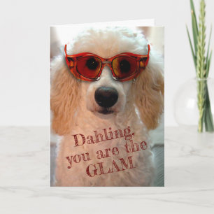 Carte Drôle Poodle Portant des Tons Lunettes de soleil C
