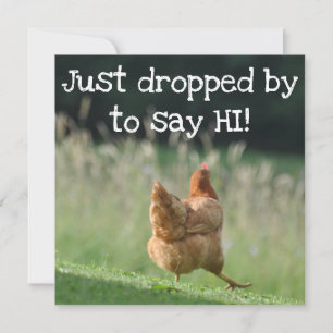 Carte Drôle poulet Bonjour salutations mignonnes animaux