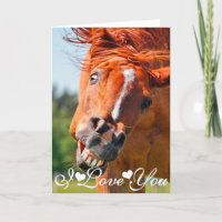 Drôle rire Horse photo Je t'aime