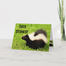 Drôle Skunk Sens Mieux