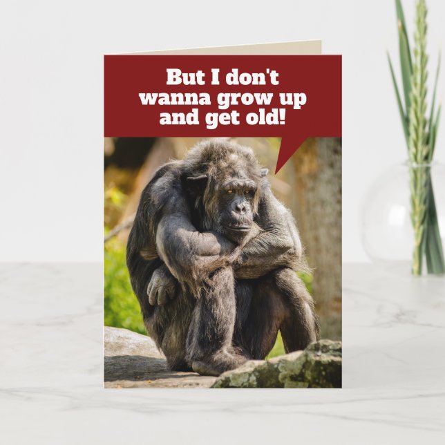 Carte Drôle Sulking Chimpanzé - ne veut pas grandir (Devant)