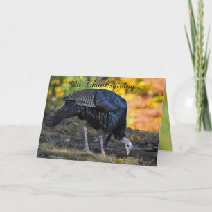 Carte Drôle Thanksgiving