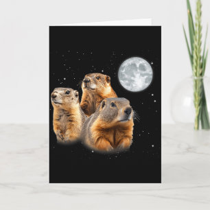 Carte Drôle Trois Marmotte Lune Jour de la Marmotte
