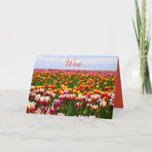 Drôle, tulipes, fleurs, colorées, pâques