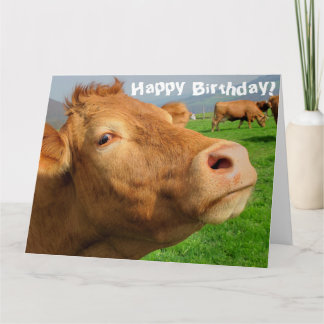 Carte Drôle Vache mignonne Joyeux Anniversaire