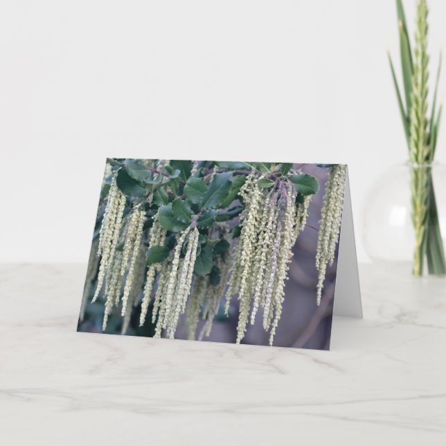 CARTE DSC_0119 (Devant)