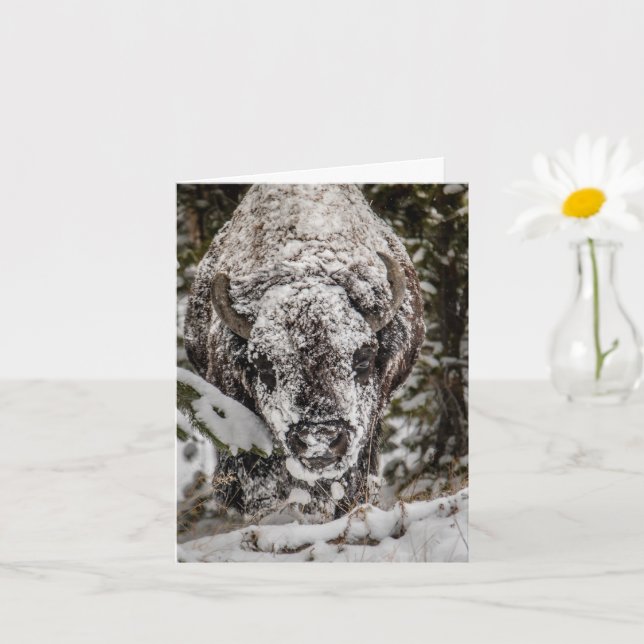 Carte du Bison Couvert de Neige Grand Teton (Petite plante)